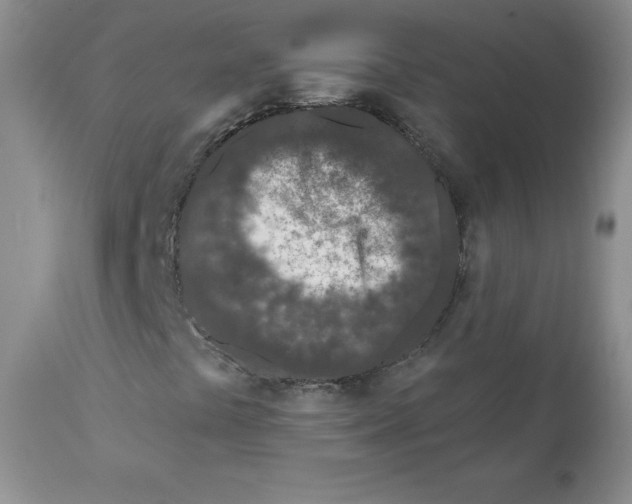 X0000112061441200909151015