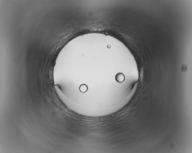 X0000112061444200909151015