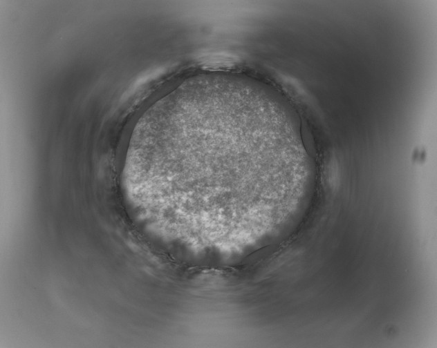 X0000112061445200909151015