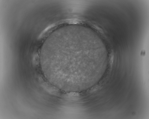 X0000112061446200909151015