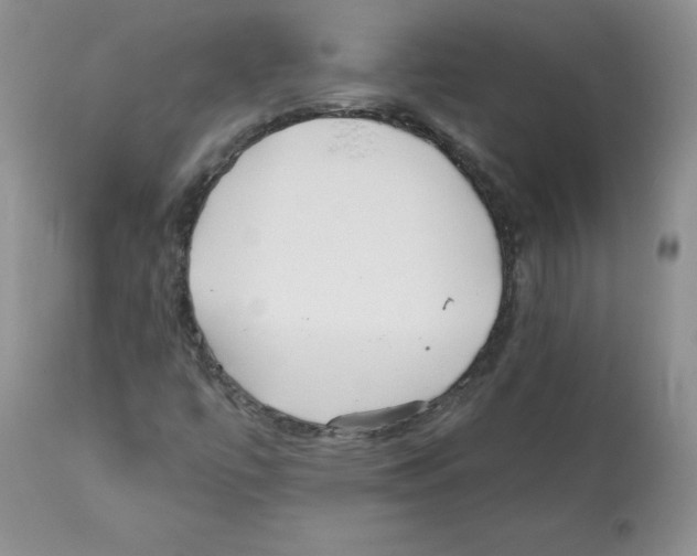 X0000112061447200909151015