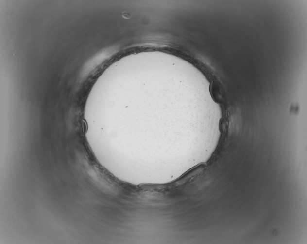 X0000112061448200909151015