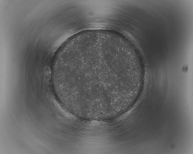 X0000112061449200909151015