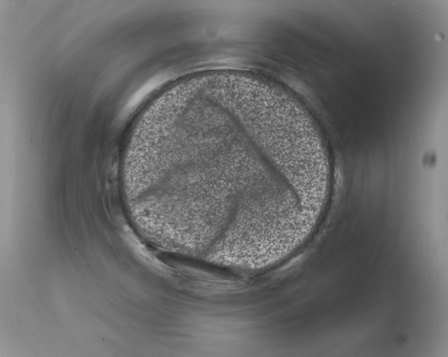 X0000112061450200909151015