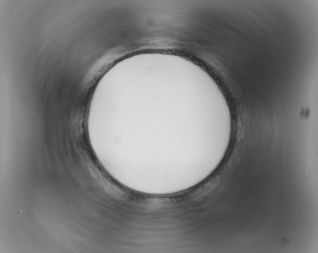 X0000112061451200909151015