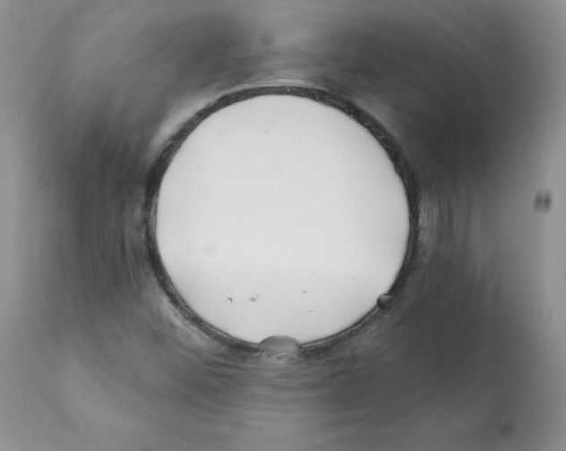 X0000112061452200909151015