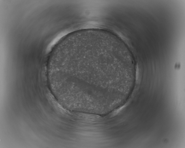 X0000112061453200909151015