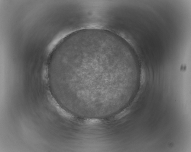 X0000112061454200909151015