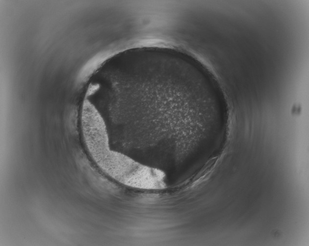 X0000112061455200909151015