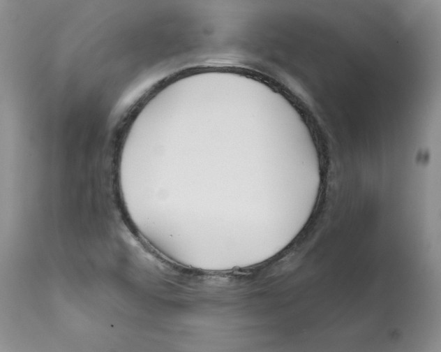 X0000112061456200909151015