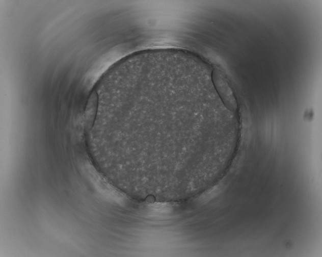 X0000112061457200909151015