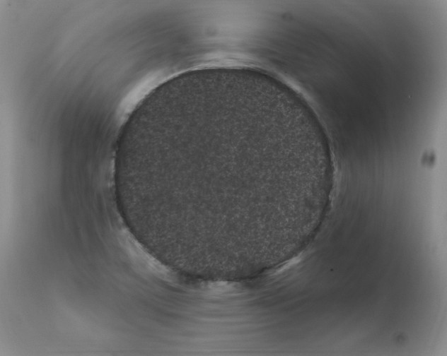 X0000112061459200909151015