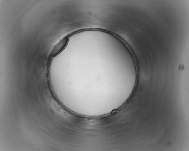 X0000112061460200909151015
