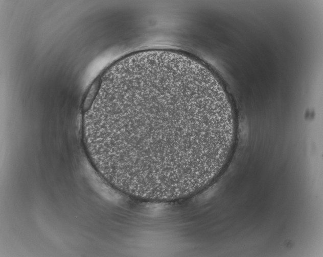 X0000112061461200909151015