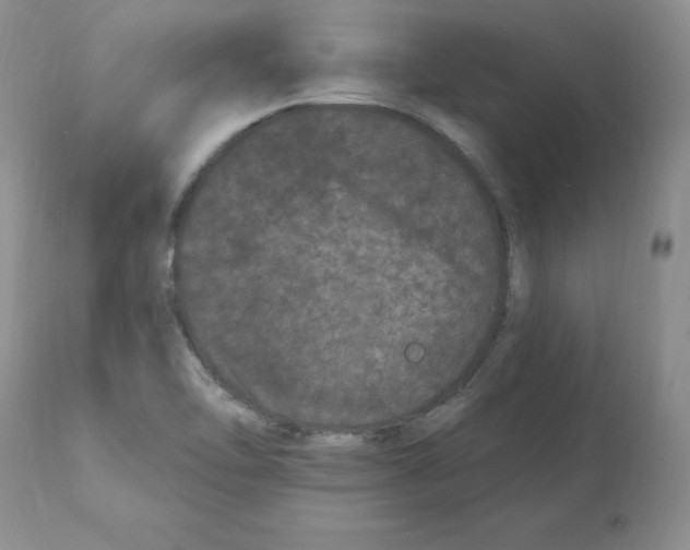 X0000112061462200909151015