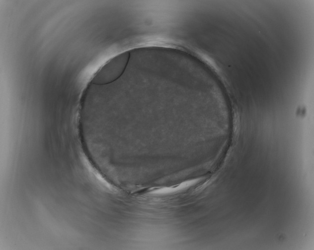 X0000112061463200909151015