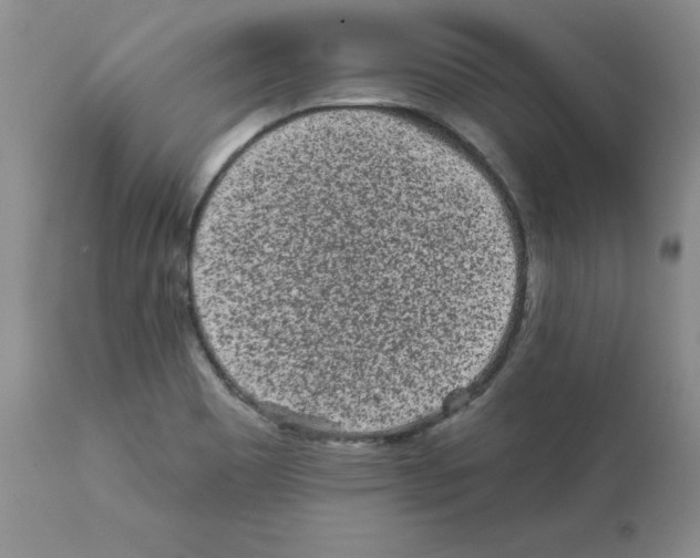 X0000112061465200909151015