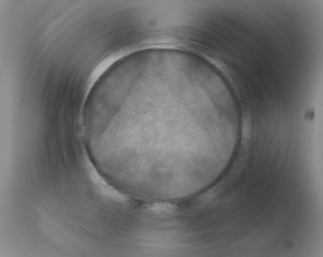 X0000112061466200909151015