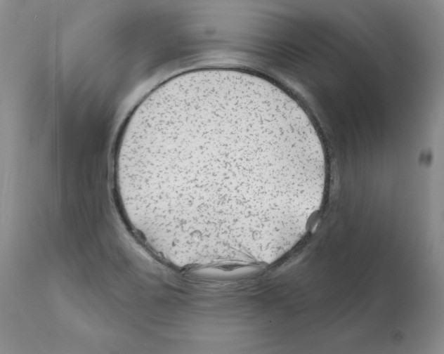 X0000112061467200909151015