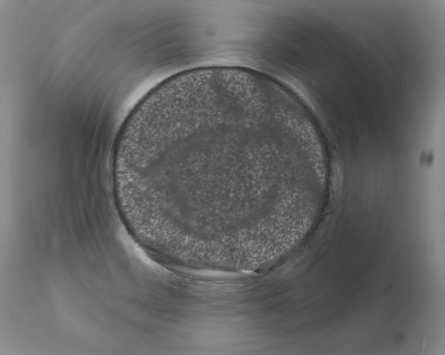 X0000112061468200909151015