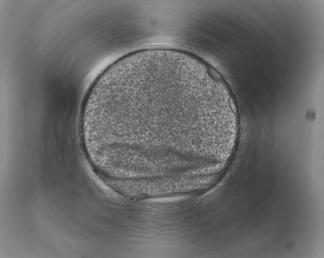 X0000112061469200909151015