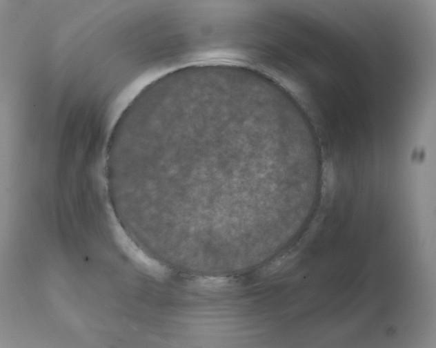 X0000112061470200909151015