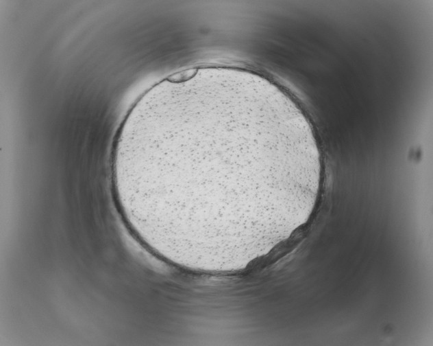 X0000112061471200909151015