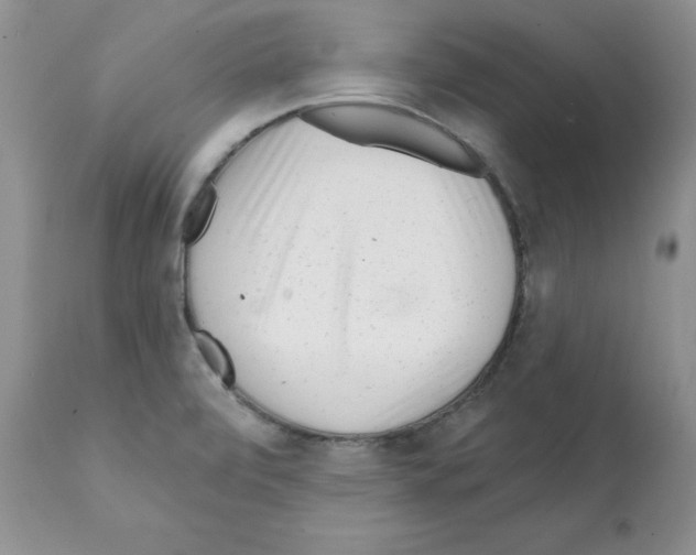 X0000112061472200909151015