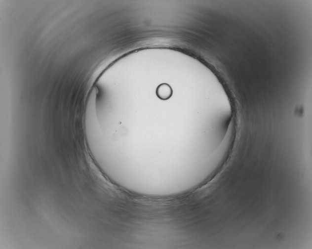 X0000112061473200909151015
