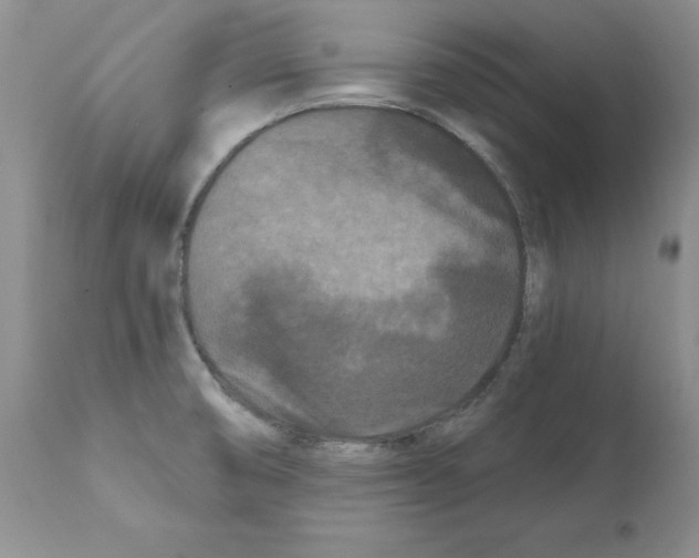 X0000112061474200909151015