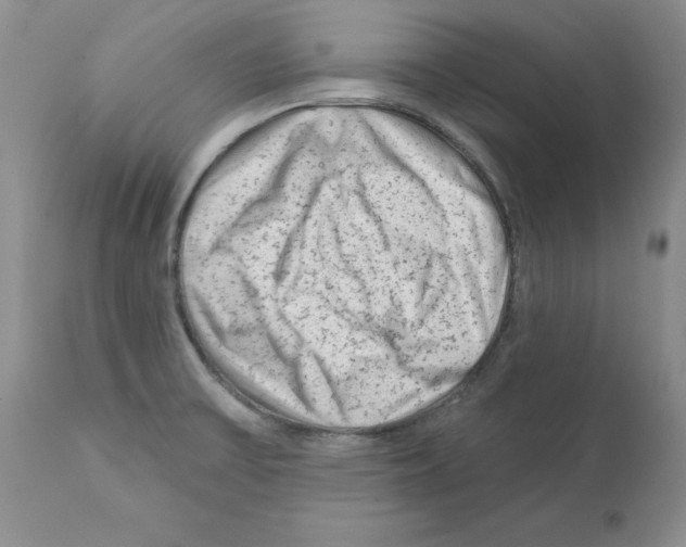 X0000112061475200909151014