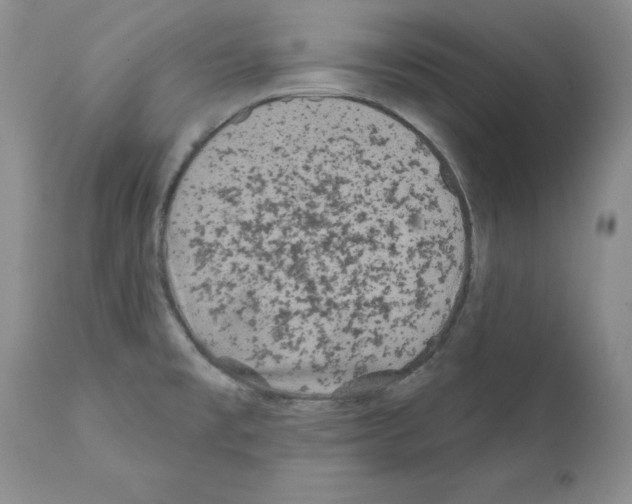 X0000112061477200909151014
