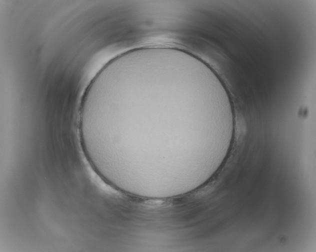 X0000112061478200909151014