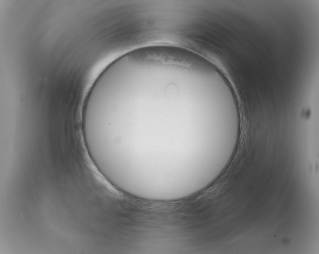 X0000112061480200909151014