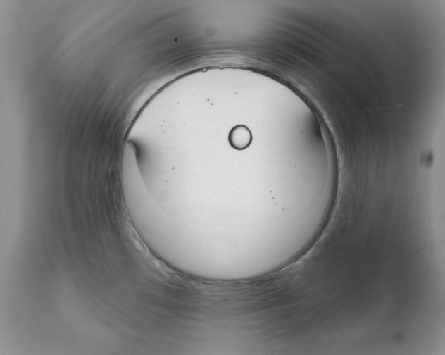 X0000112061481200909151014