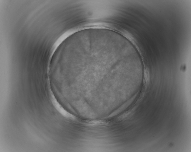 X0000112061482200909151014
