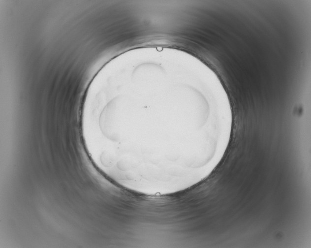 X0000112061483200909151014