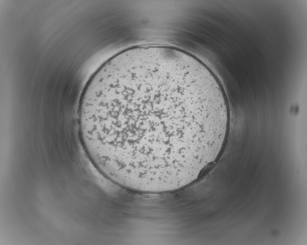 X0000112061485200909151014