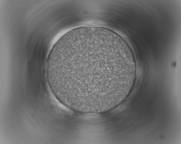 X0000112061486200909151014