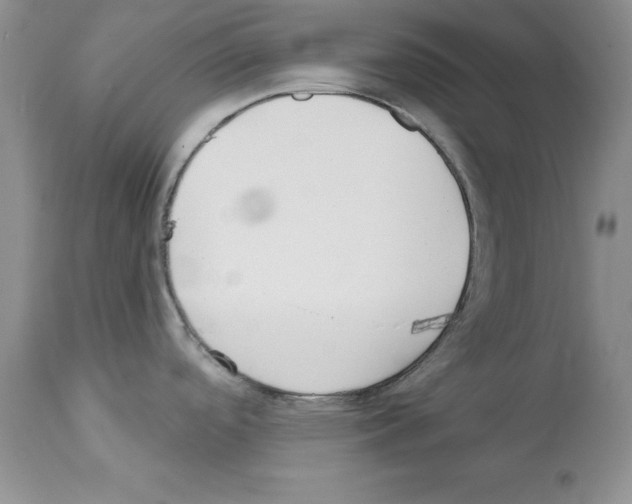 X0000112061488200909151014