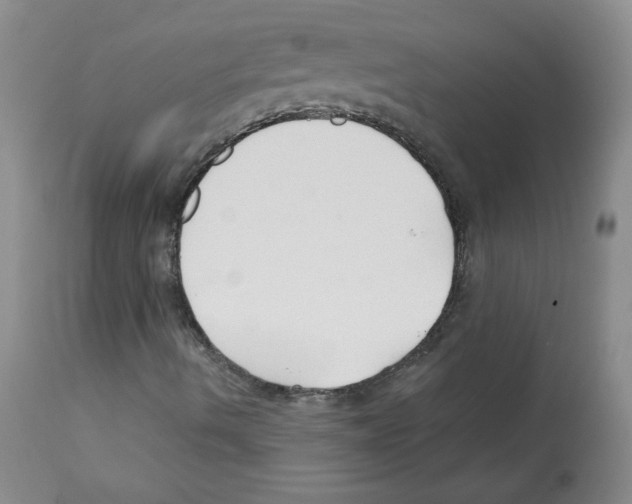 X0000112061490200909151014