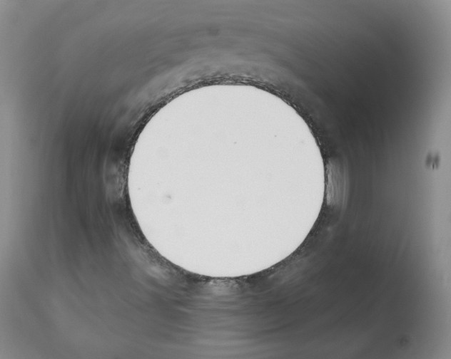 X0000112061491200909151014