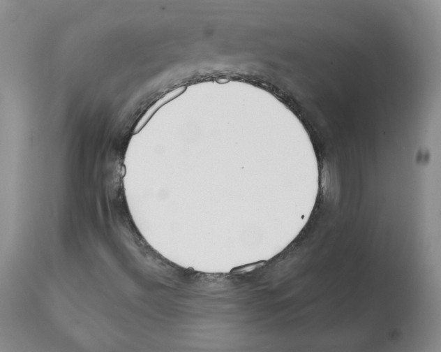 X0000112061492200909151014