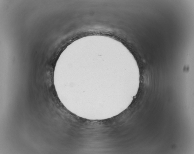 X0000112061493200909151014