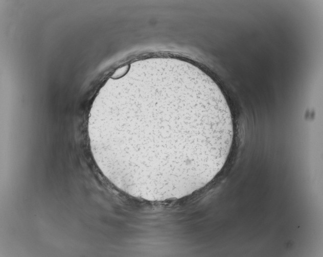 X0000112061494200909151014