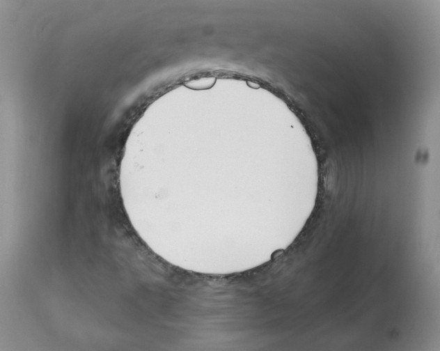 X0000112061495200909151014