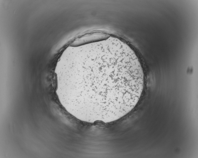 X0000112061496200909151014