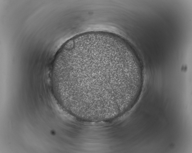 X0000112061497200909151014