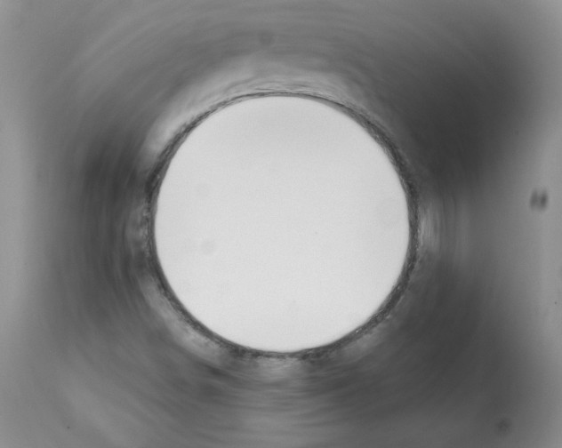 X0000112061498200909151014