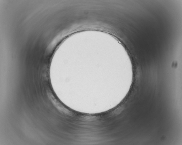 X0000112061499200909151014